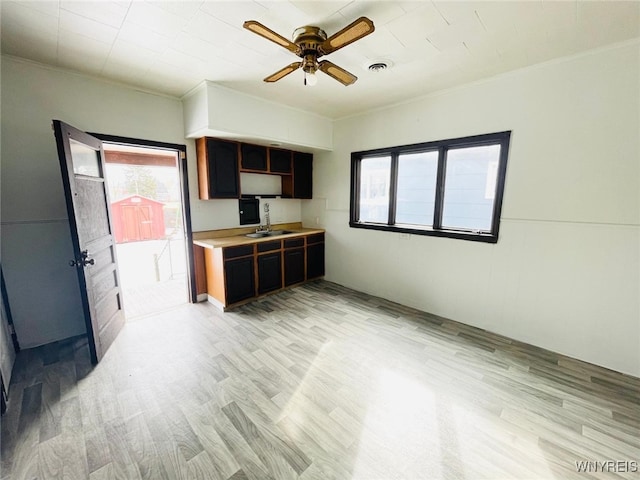 kitchen with visible vents, ceiling fan, light countertops, light wood-type flooring, and a sink