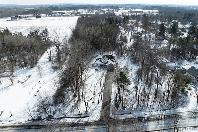 view of snowy aerial view