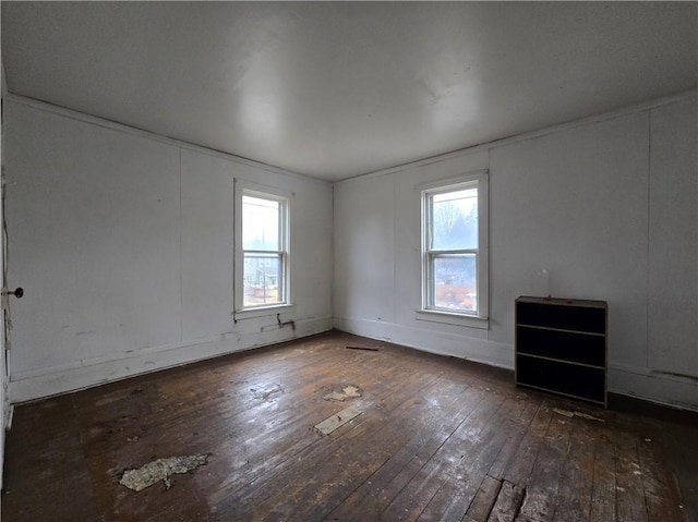 empty room with wood-type flooring and plenty of natural light