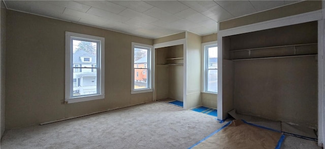 unfurnished bedroom with multiple windows and carpet flooring