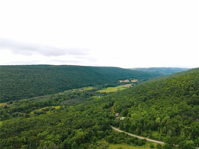 view of mountain feature with a wooded view