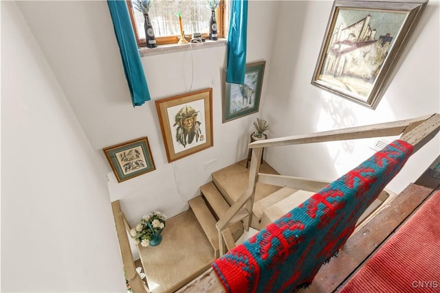 225 Amberg Rd, Ohio, NY 13324 - stairs with carpet flooring