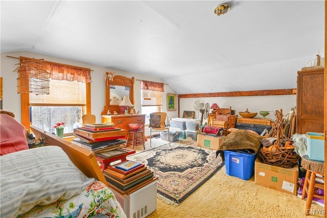 interior space with lofted ceiling, carpet flooring, and a healthy amount of sunlight