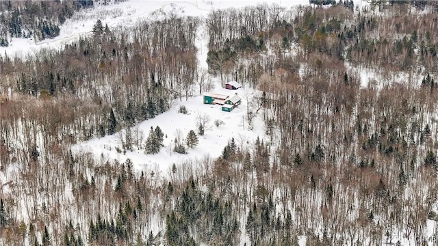 snowy aerial view with a forest view