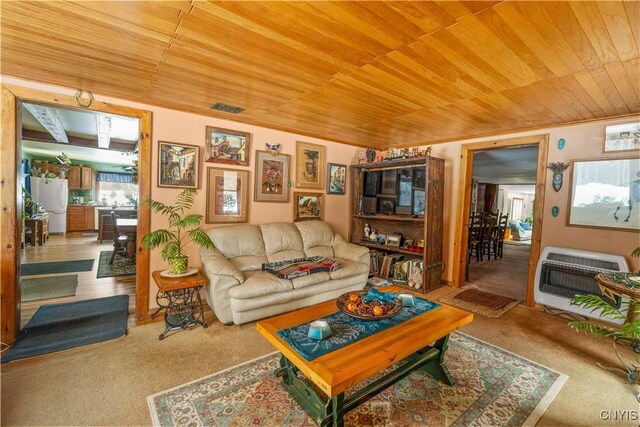 225 Amberg Rd, Ohio, NY 13324 - living area with heating unit, wooden ceiling, and carpet floors