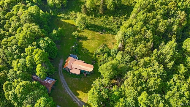 225 Amberg Rd, Ohio, NY 13324 - aerial view of property's location