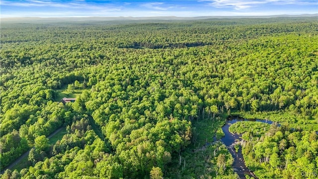 225 Amberg Rd, Ohio, NY 13324 - aerial view of property's location with a heavily wooded area