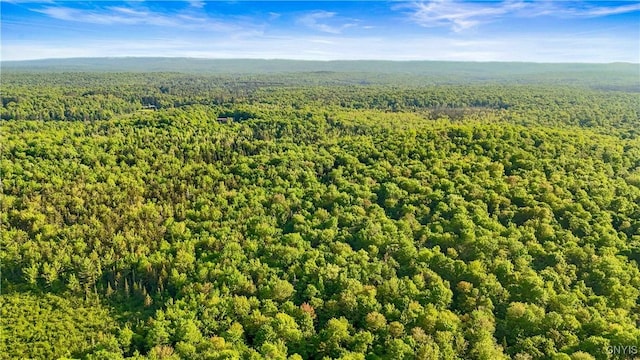 225 Amberg Rd, Ohio, NY 13324 - aerial view of a forest