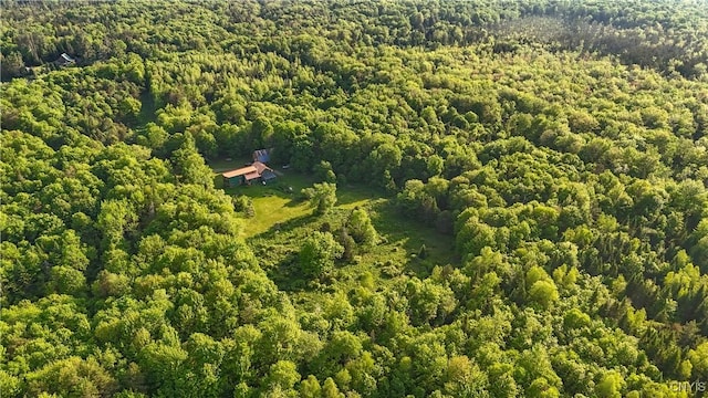 225 Amberg Rd, Ohio, NY 13324 - view from above of property with a forest