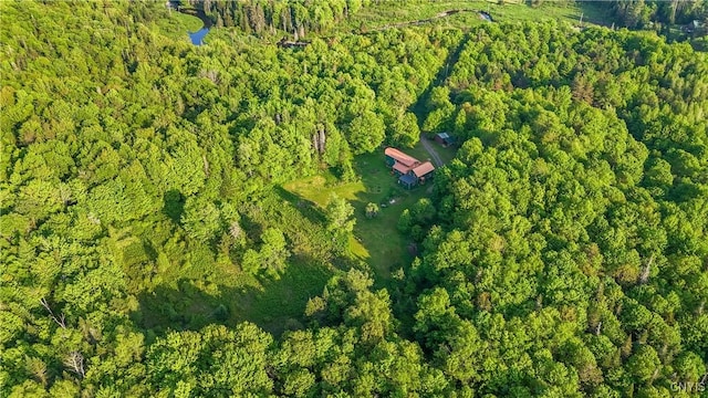225 Amberg Rd, Ohio, NY 13324 - view of property location featuring a heavily wooded area