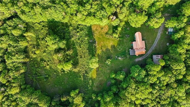 225 Amberg Rd, Ohio, NY 13324 - aerial overview of property's location