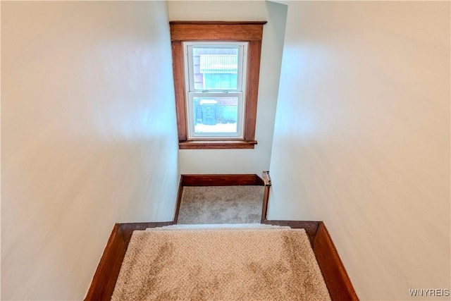 staircase with carpet and baseboards