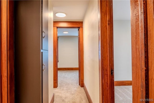 corridor with carpet and baseboards