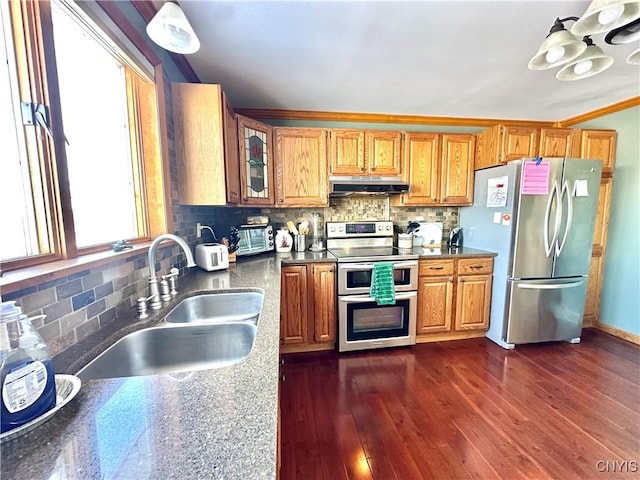 kitchen featuring dark wood-style floors, stainless steel appliances, tasteful backsplash, a sink, and under cabinet range hood