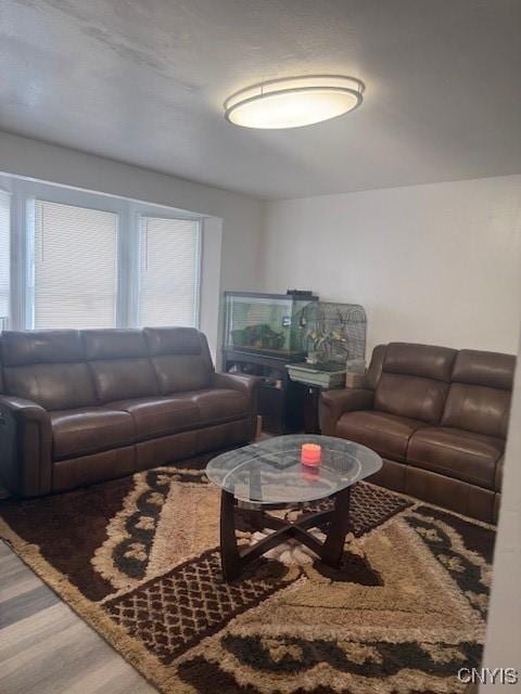 living room with wood finished floors