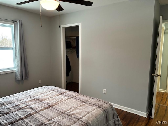 bedroom featuring dark wood-style floors, a closet, a spacious closet, ceiling fan, and baseboards