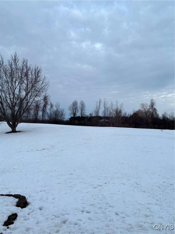 view of snowy yard