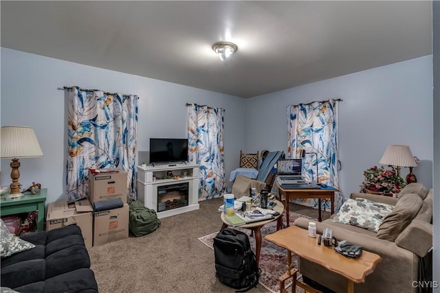 living area with carpet floors and a glass covered fireplace