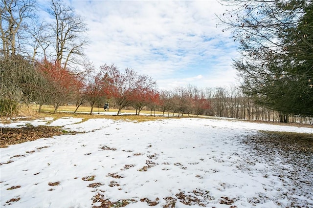 view of snowy yard