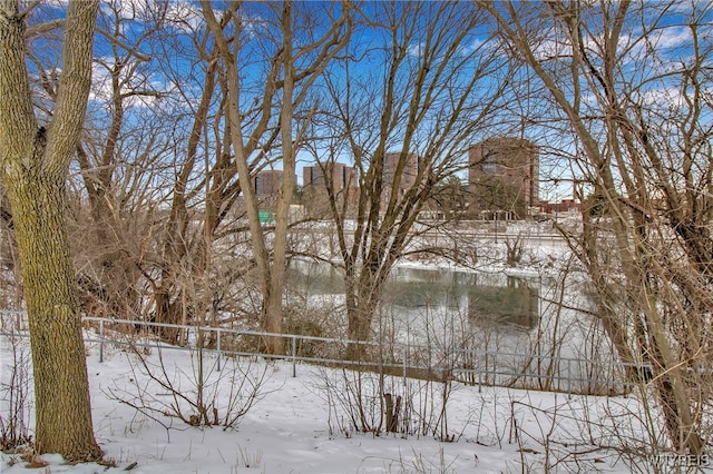 view of yard covered in snow