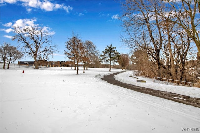 view of snowy yard