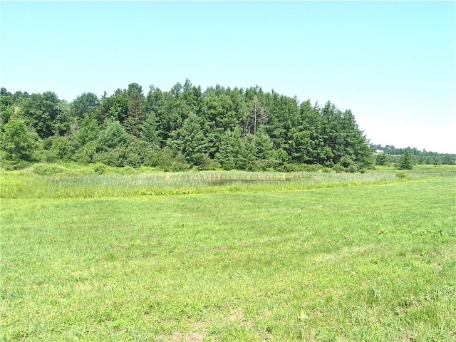 116 Sunset Ridge Rd, Otsego NY, 13326 land for sale