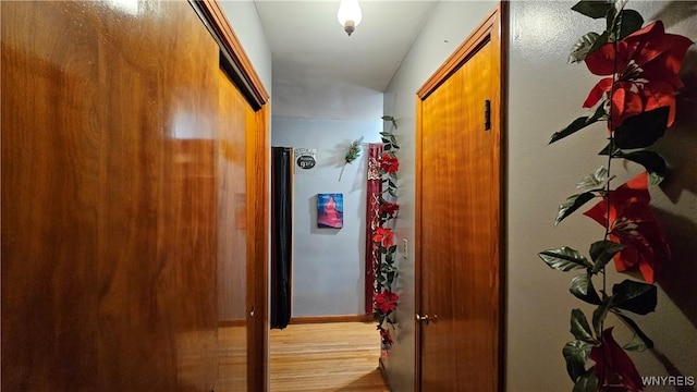 hall with baseboards and wood finished floors