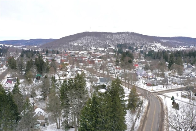 view of mountain feature