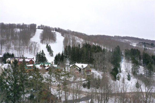 snowy aerial view featuring a wooded view