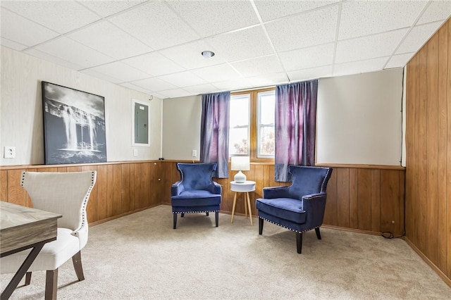 living area with a wainscoted wall, carpet flooring, electric panel, and wooden walls