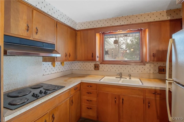 kitchen featuring black electric stovetop, light countertops, freestanding refrigerator, a sink, and under cabinet range hood