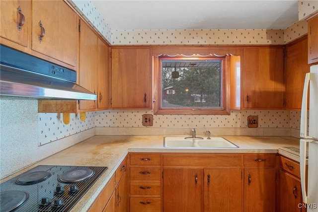 kitchen with under cabinet range hood, black electric cooktop, a sink, and light countertops