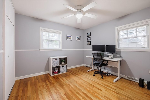 office featuring a ceiling fan, light wood-type flooring, visible vents, and baseboards