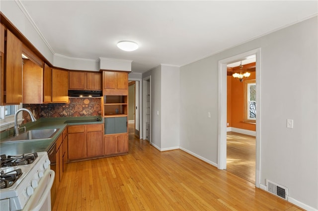 kitchen with brown cabinets, a sink, light wood-type flooring, under cabinet range hood, and backsplash