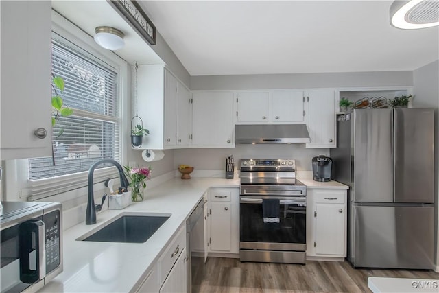 kitchen featuring under cabinet range hood, white cabinetry, stainless steel appliances, and a sink