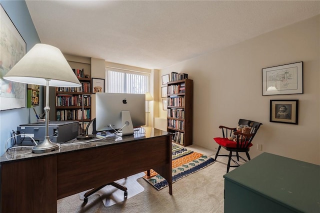 view of carpeted office space