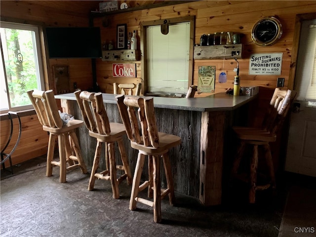 bar featuring a bar and wood walls