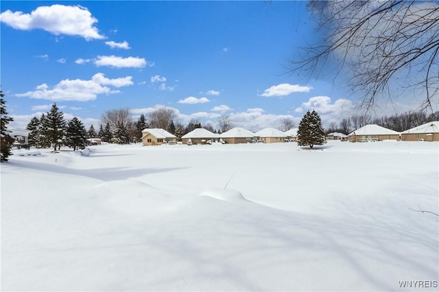 view of yard covered in snow