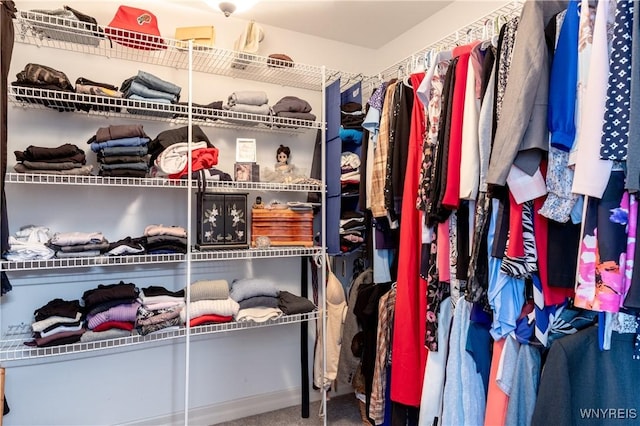 spacious closet featuring carpet floors