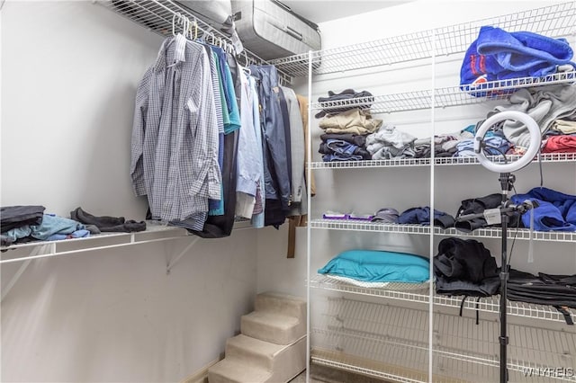 view of spacious closet