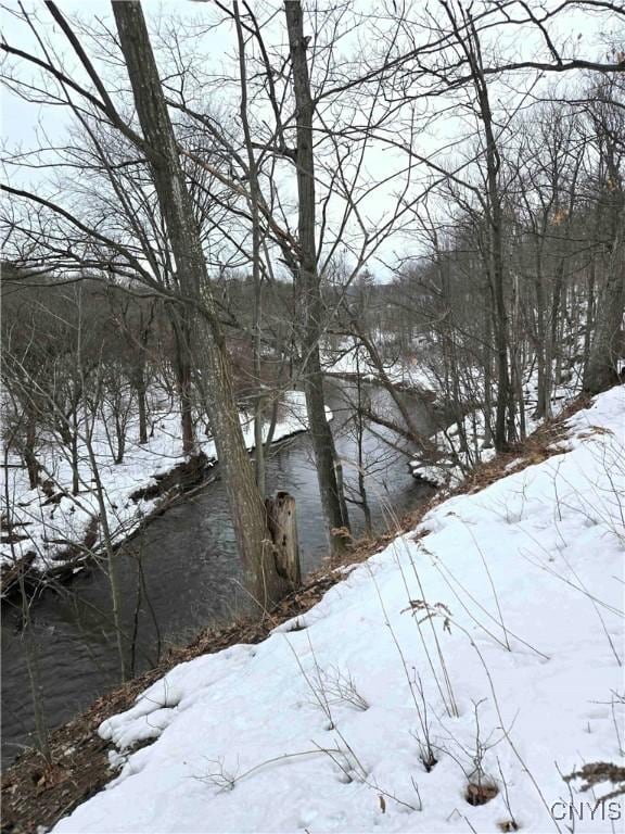 N Water St, Pike NY, 14066 land for sale