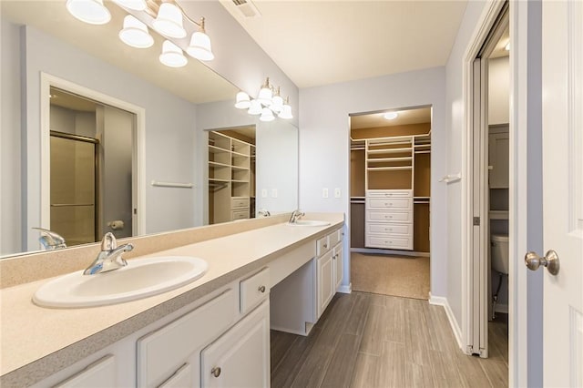 full bath featuring a sink, a spacious closet, and double vanity