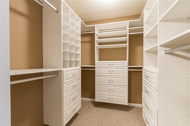 walk in closet with light colored carpet