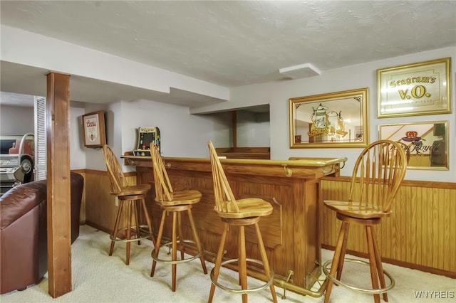 bar with light carpet, a wainscoted wall, a dry bar, and wood walls