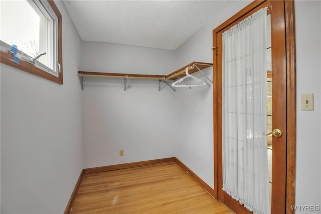 spacious closet featuring light wood-style flooring