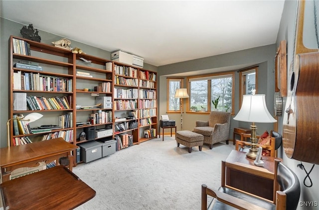 sitting room with carpet floors