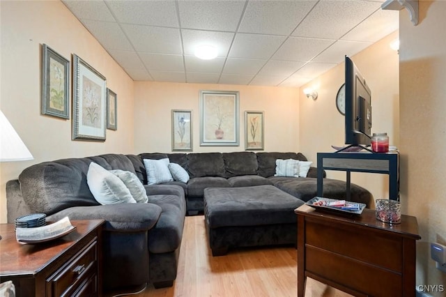 living area with a drop ceiling and light wood-style floors