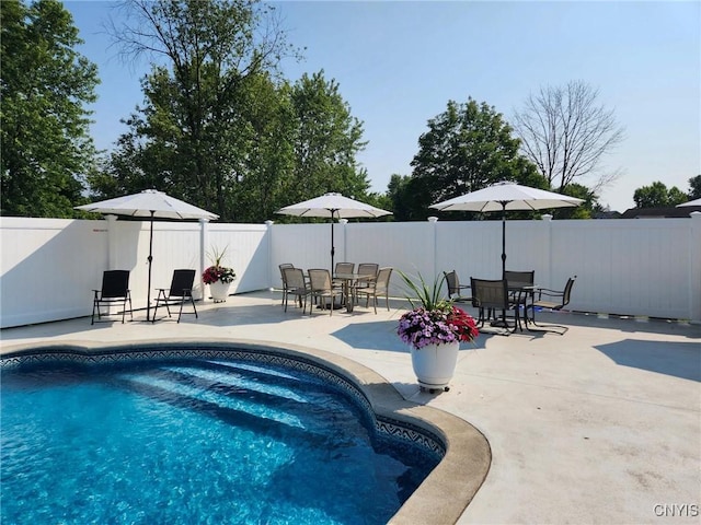 view of pool featuring a patio area, a fenced backyard, and a fenced in pool