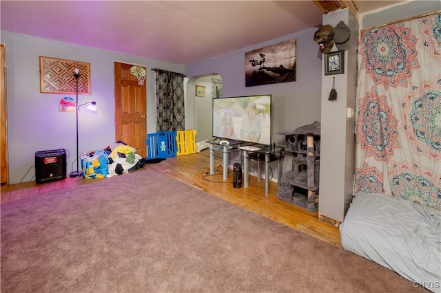 playroom with carpet floors, arched walkways, and wood finished floors