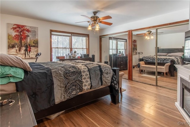 bedroom with multiple windows, wood finished floors, a ceiling fan, and multiple closets